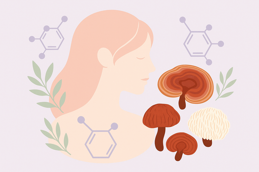 Reishi y hormonas femeninas: cómo influye en el equilibrio de cortisol, estrógeno y progesterona